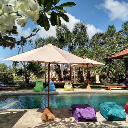 Hotel Premier Surf Camp Canggu Zewnętrze zdjęcie